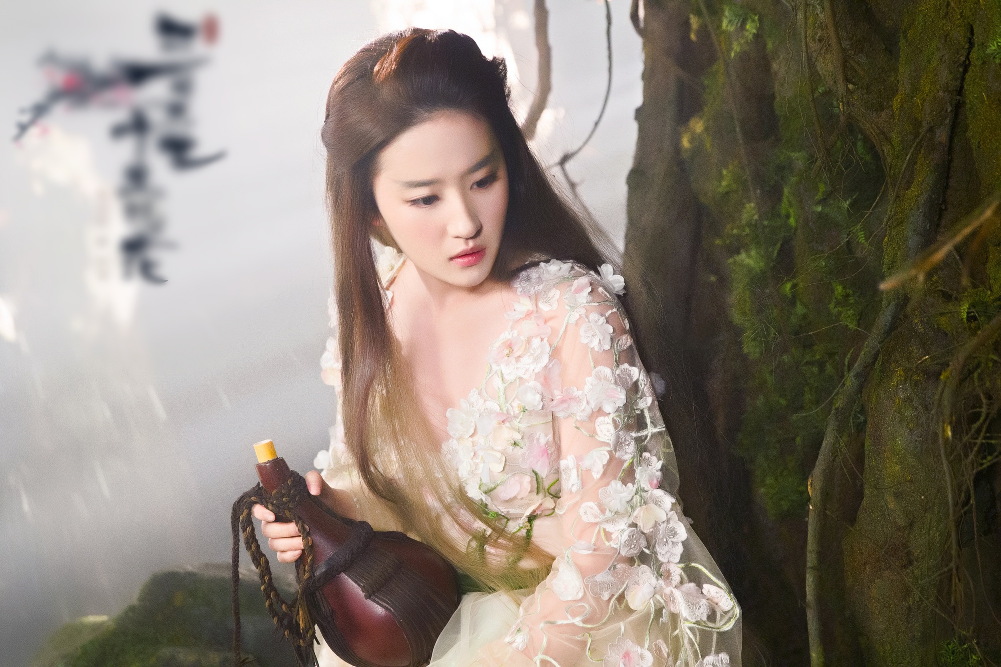 - Ảnh 4. - Ảnh 4.