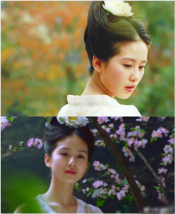 - Ảnh 5. - Ảnh 5.