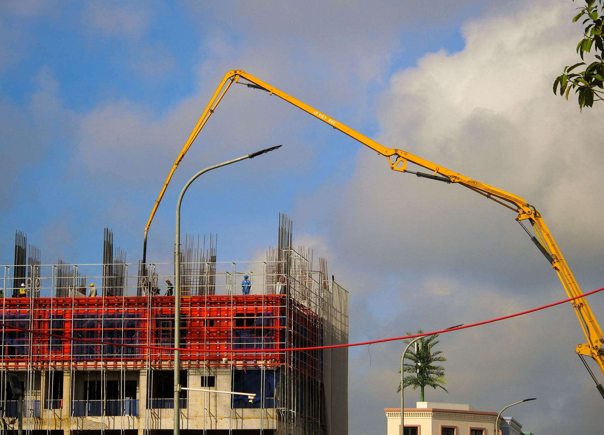 - Ảnh 7. - Ảnh 7.