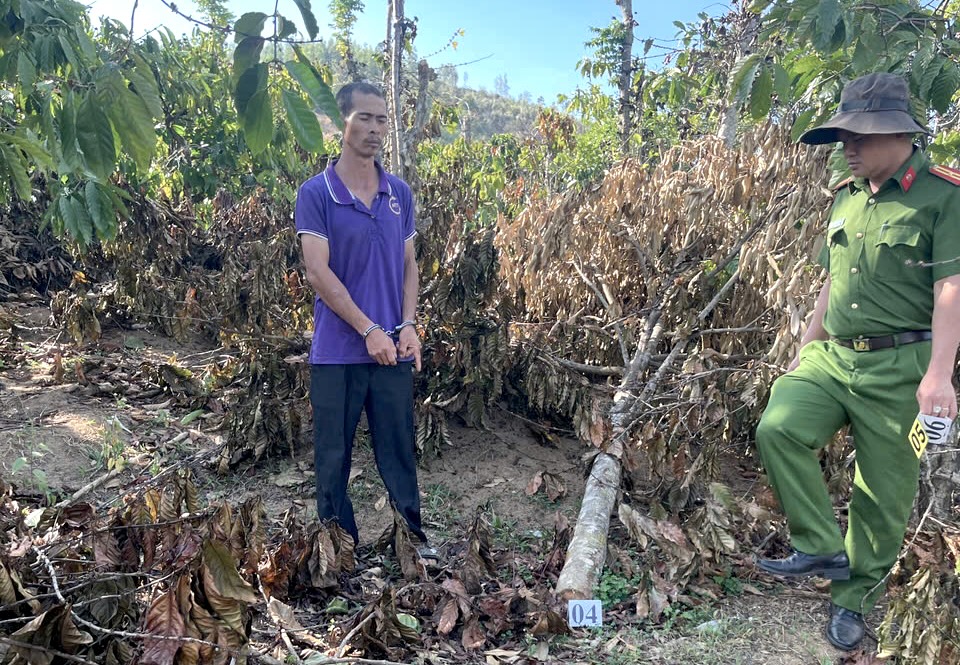 Xử phạt anh rể phá vườn cây "đòi quan hệ với em vợ"- Ảnh 1. Xử phạt anh rể phá vườn cây "đòi quan hệ với em vợ"- Ảnh 1.