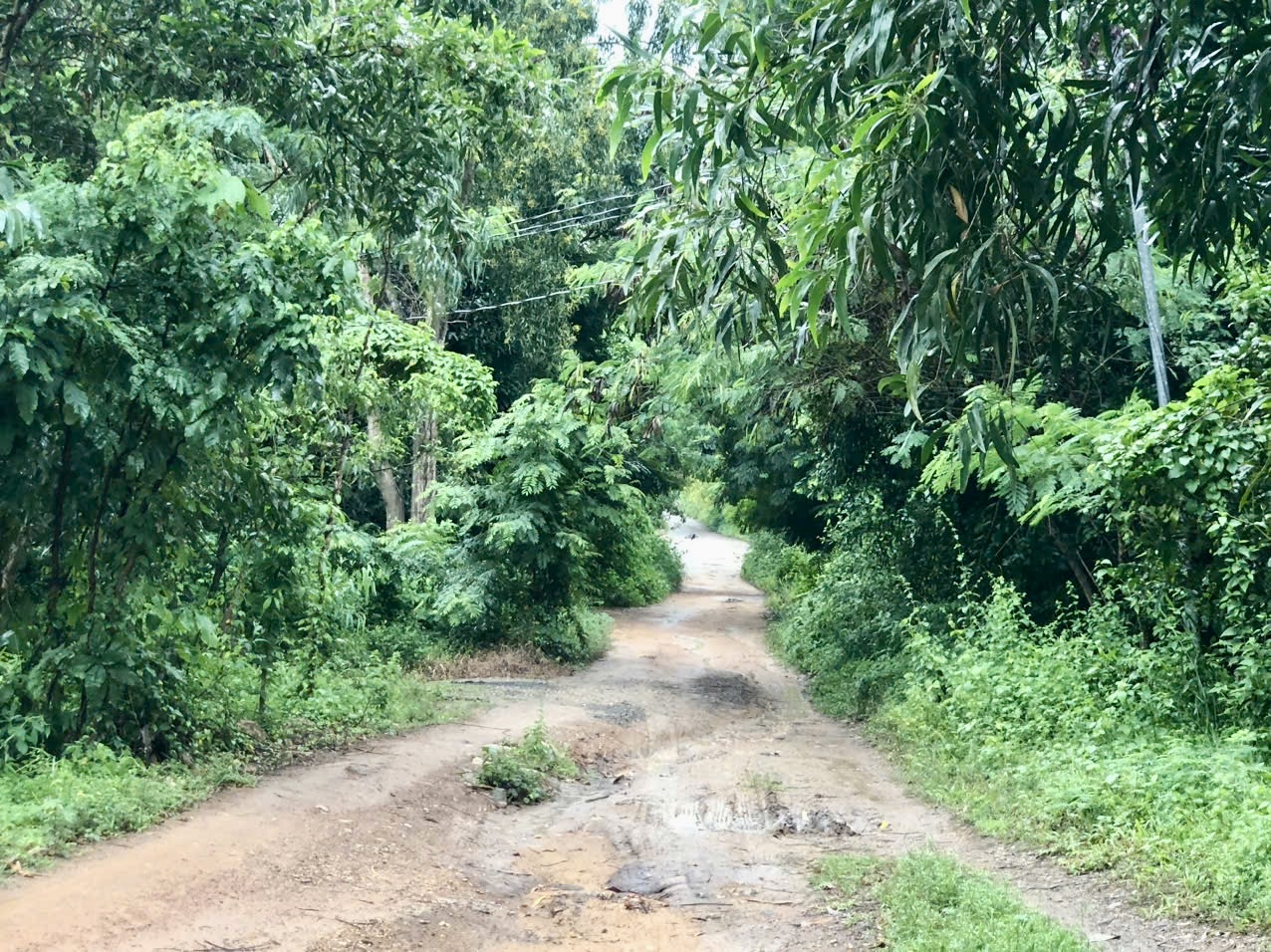 Nghi án con trai sát hại mẹ, tấn công chị gái- Ảnh 1.