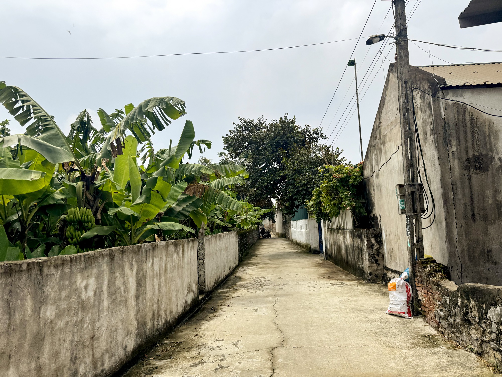 Tang thương tại thôn xóm nơi bé gái 8 tuổi bị anh họ sát hại: Lời nghẹn đắng của bố nạn nhân, hàng xóm tiết lộ điều không ngờ về nghi phạm- Ảnh 1. Tang thương tại thôn xóm nơi bé gái 8 tuổi bị anh họ sát hại: Lời nghẹn đắng của bố nạn nhân, hàng xóm tiết lộ điều không ngờ về nghi phạm- Ảnh 1.