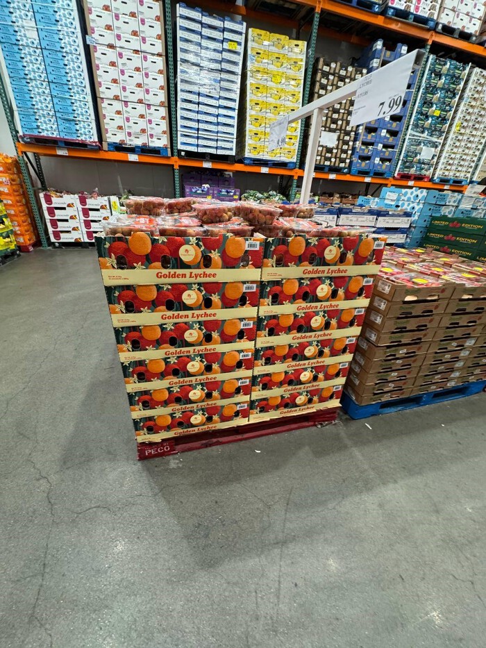 Chủ tịch nước Lương Cường công du Mỹ: Costco kỳ vọng nhập 1 tỷ USD hàng Việt, Boeing giao máy bay, mở đường cho chuỗi cung ứng Việt- Ảnh 3.