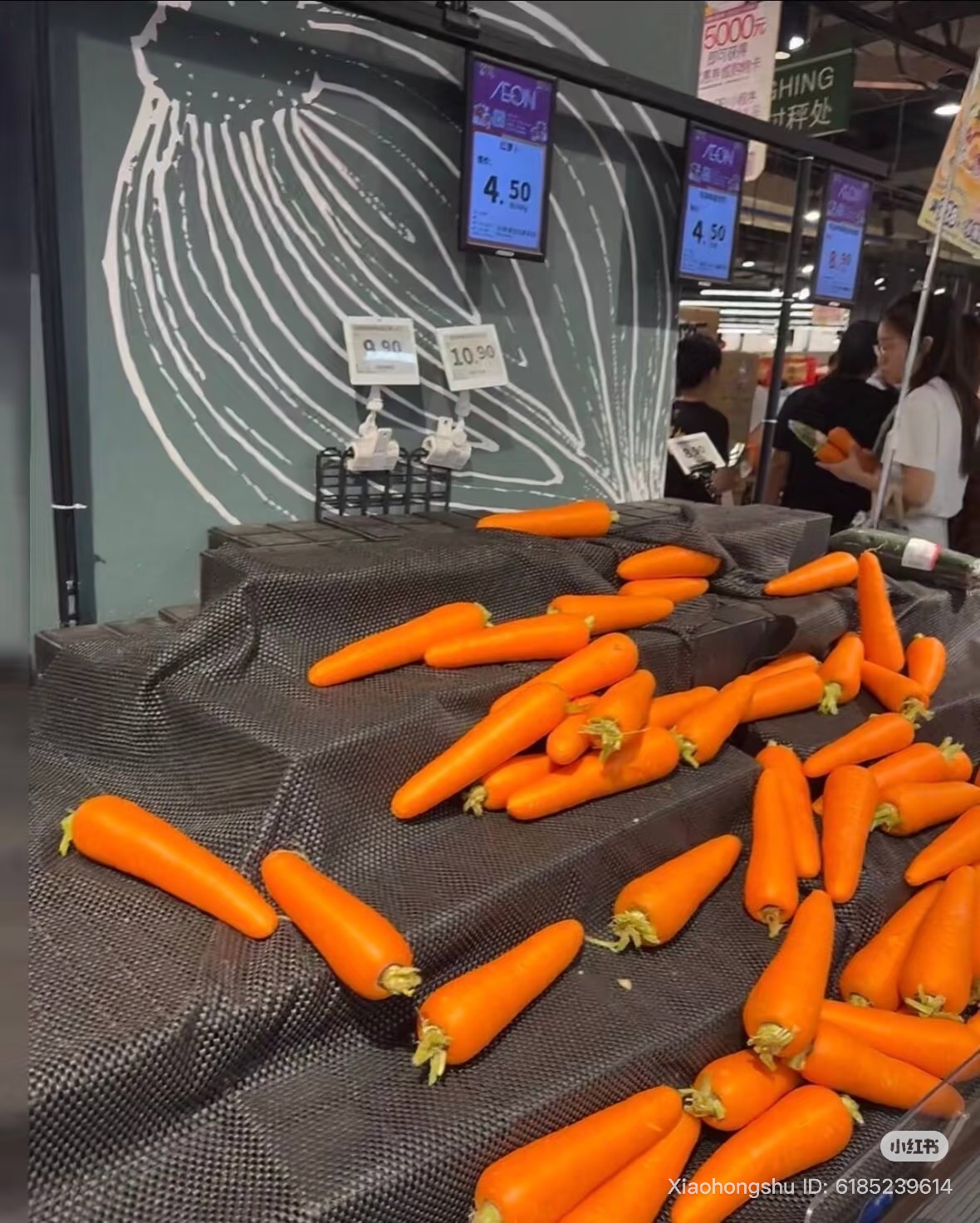 Siêu thị Trung Quốc trước siêu bão Ragasa: Kệ hàng trống trơn nhưng 3 loại rau vẫn "ế chỏng chơ", netizen thắc mắc lý do- Ảnh 6. Siêu thị Trung Quốc trước siêu bão Ragasa: Kệ hàng trống trơn nhưng 3 loại rau vẫn "ế chỏng chơ", netizen thắc mắc lý do- Ảnh 6.