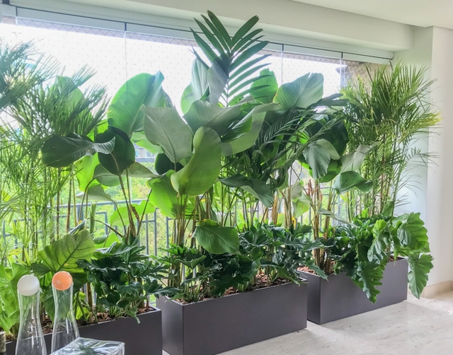 Ngày càng nhiều gia đình thích nhà hướng Tây, đọc xong 3 lý do này muốn “chốt đơn” ngay- Ảnh 3. Ngày càng nhiều gia đình thích nhà hướng Tây, đọc xong 3 lý do này muốn “chốt đơn” ngay- Ảnh 3.