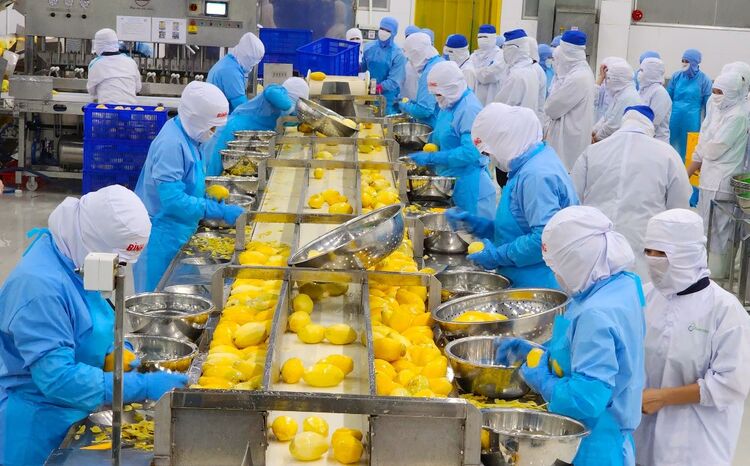 Từng bị coi là rác, một loại vỏ quả Việt Nam nay hóa thành “mỏ vàng” giúp doanh nghiệp thu tiền tỷ mỗi năm- Ảnh 1.