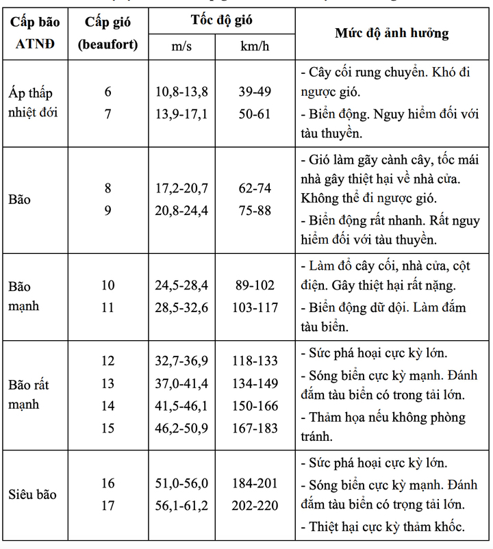 Tin siêu bão số 9 Ragasa mới nhất và dự báo thời điểm đổ bộ Quảng Ninh-Hưng Yên- Ảnh 2.