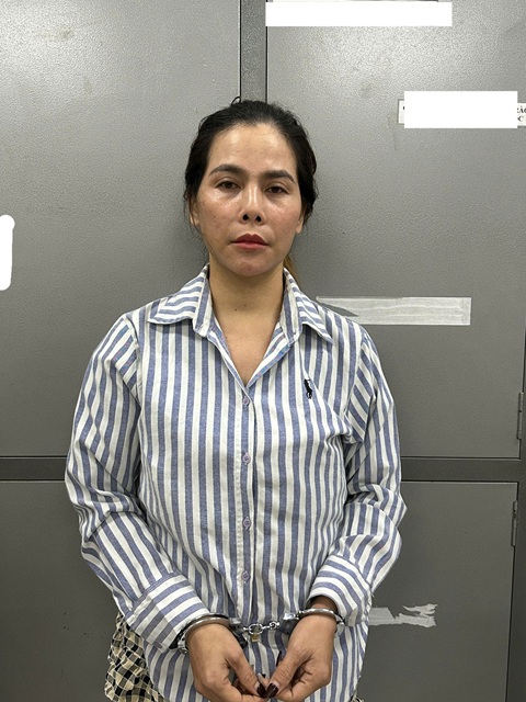 Bắt giữ, di lý Đinh Thị Trúc Linh - Ảnh 1.