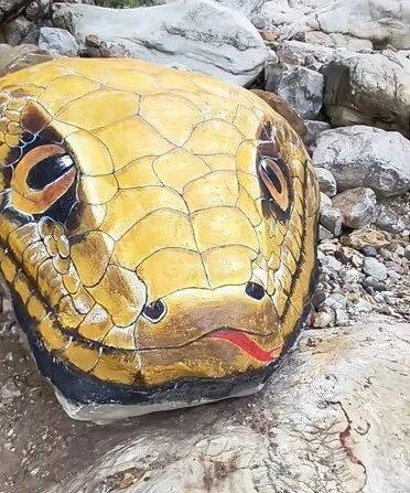 'Trăn khổng lồ' giữa suối khiến du khách hoảng sợ, ban quản lý nói: Nó đã ở đây hàng trăm triệu năm- Ảnh 2. 'Trăn khổng lồ' giữa suối khiến du khách hoảng sợ, ban quản lý nói: Nó đã ở đây hàng trăm triệu năm- Ảnh 2.