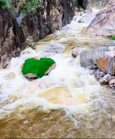 'Trăn khổng lồ' giữa suối khiến du khách hoảng sợ, ban quản lý nói: Nó đã ở đây hàng trăm triệu năm- Ảnh 4. 'Trăn khổng lồ' giữa suối khiến du khách hoảng sợ, ban quản lý nói: Nó đã ở đây hàng trăm triệu năm- Ảnh 4.