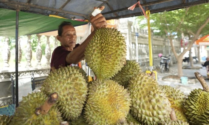Không phải Thái Lan, làn sóng sầu riêng đang bùng nổ tại quốc gia Đông Nam Á: Công ty bất động sản, dầu cọ đổ xô đi trồng sầu riêng, giá bán tăng gần gấp 4 lần - Ảnh 1.