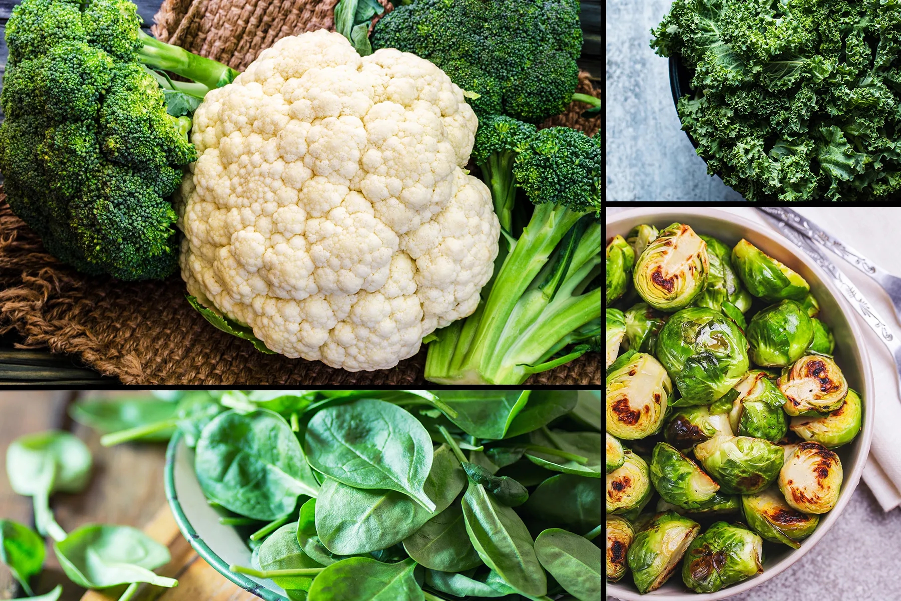 Bác sĩ sống thọ 100 tuổi dù từng mắc ung thư: Bí quyết nằm ở thói quen này- Ảnh 2.