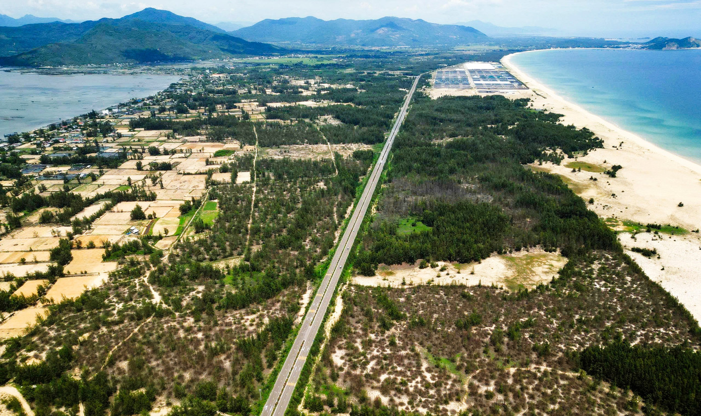 'Lá chắn xanh' bên tuyến đường biển ở Gia Lai đang chết khô- Ảnh 14.