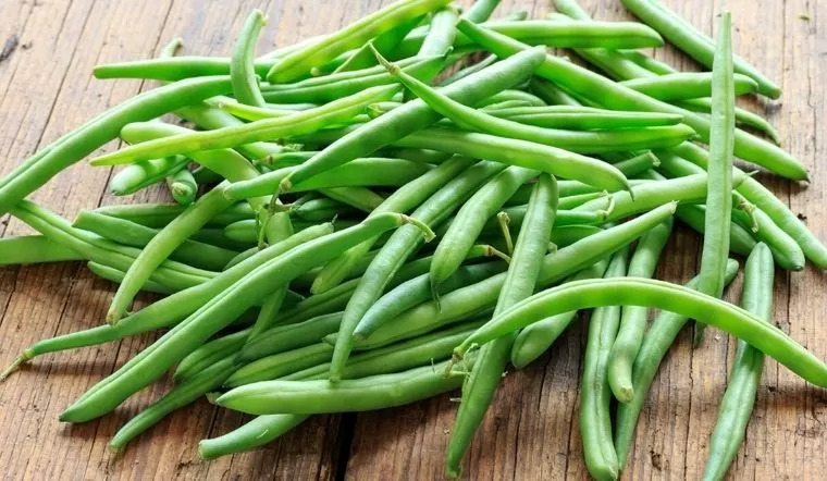 4 loại rau dễ 