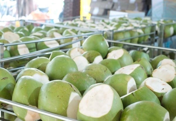 Vượt Trung Quốc, Mỹ chi hơn 2.100 tỷ để nhập một “sản vật” của Việt Nam, hơn 40 quốc gia cũng đặt hàng - Ảnh 2.