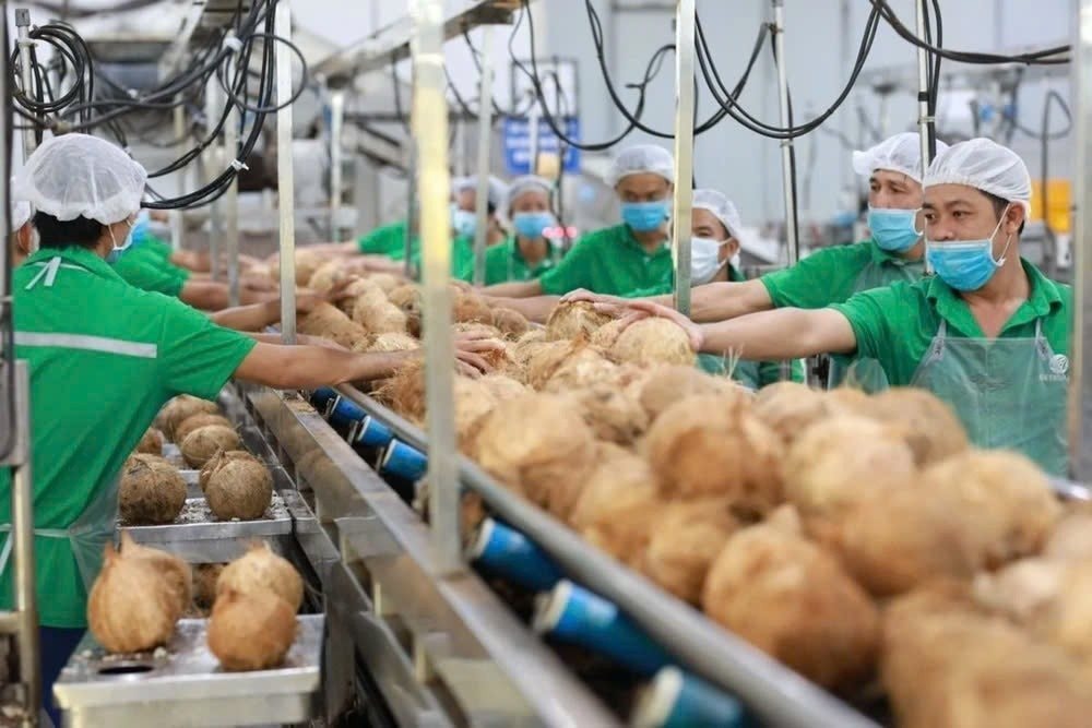 Vượt Trung Quốc, Mỹ chi hơn 2.100 tỷ để nhập một “sản vật” của Việt Nam, hơn 40 quốc gia cũng đặt hàng - Ảnh 3.