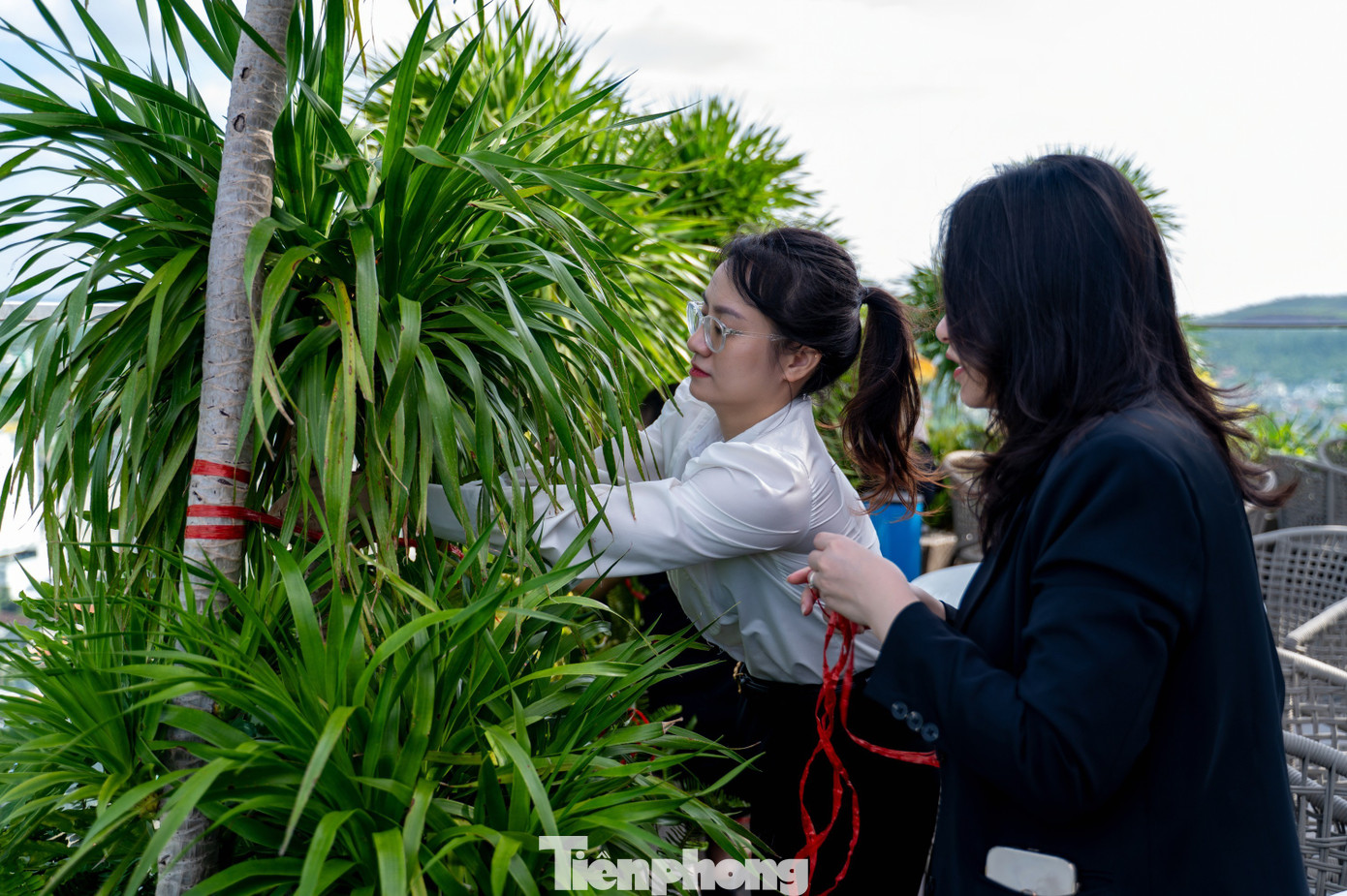 Khách sạn khu du lịch ở Quảng Ninh chèn cửa chống bão- Ảnh 6.