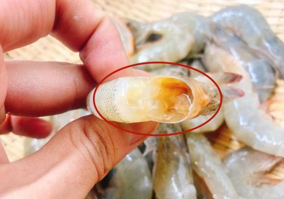 Tôm ngậm hóa chất ure, hàn the thường có 3 đặc điểm này: Đừng ham rẻ, mua về ăn mà hại thân- Ảnh 1.