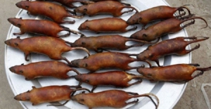 Bắt chuột ăn trong 70 ngày thử thách sinh tồn, chàng trai thắng 370 triệu đồng- Ảnh 7.