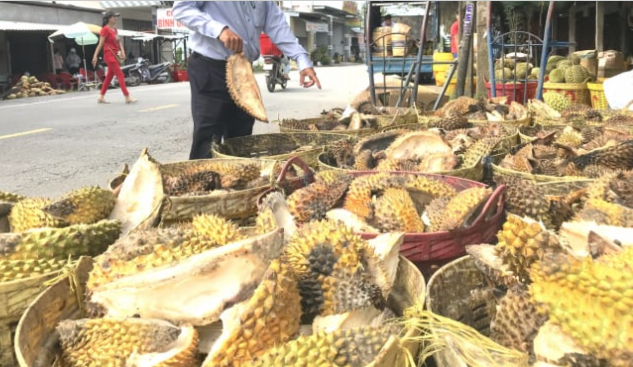 Thứ vỏ từng bị vứt bỏ gây hại cho môi trường, giờ trở thành “mỏ vàng” lộ thiên- Ảnh 1. Thứ vỏ từng bị vứt bỏ gây hại cho môi trường, giờ trở thành “mỏ vàng” lộ thiên- Ảnh 1.