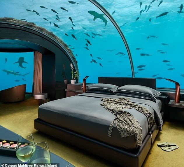 Dinh thự dưới nước đắt nhất thế giới hé lộ góc khuất khó tin- Ảnh 1.