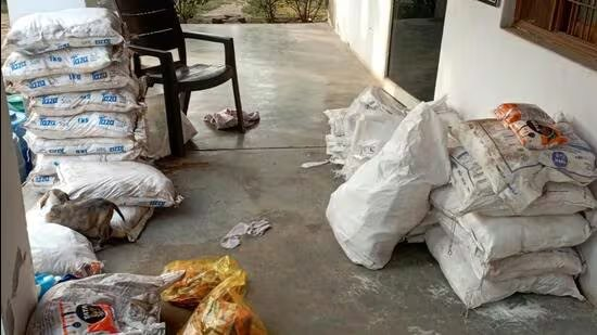 Đột kích một nhà máy, công an triệt phá đường dây sản xuất và tiêu thụ muối giả quy mô khủng, tịch thu hàng nghìn kg sản phẩm kém chất lượng- Ảnh 1.