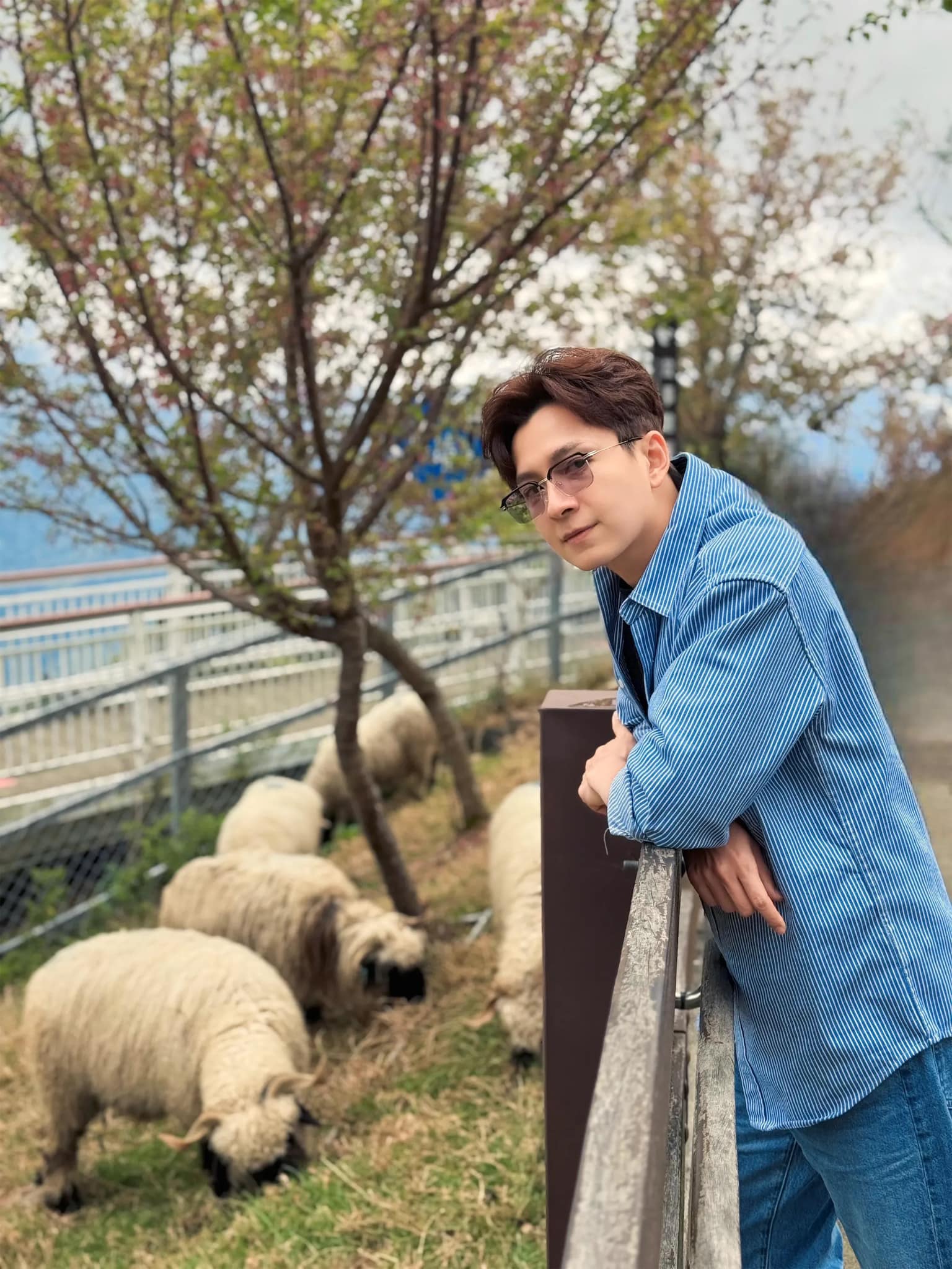 Ngoại hình điển trai của “phú ông” showbiz Việt, mỗi quận sở hữu 2 căn nhà, U40 chưa vợ- Ảnh 12.