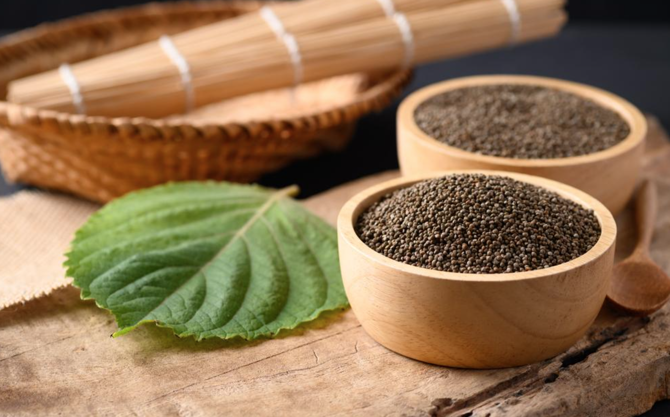 Loại cây từng được dùng để tiến vua nhưng nay bị lãng quên: Hóa ra là vị thuốc toàn năng- Ảnh 2.