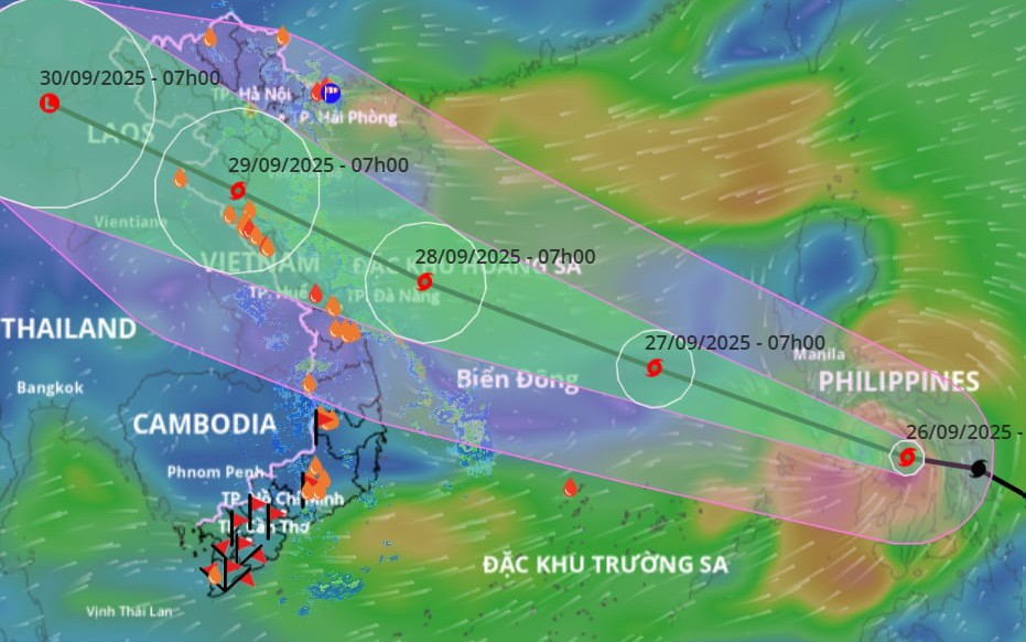 Tin mới nhất về bão Bualoi: Đi nhanh gấp đôi bình thường, sẽ đổ bộ vào nước ta gây mưa rất to
