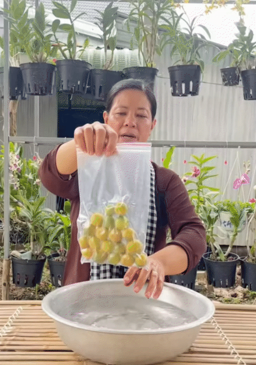 Người miền Tây chỉ cách làm đá không cần khay cực tiện - kèm loạt mẹo vặt siêu hay ai cũng áp dụng được- Ảnh 9.