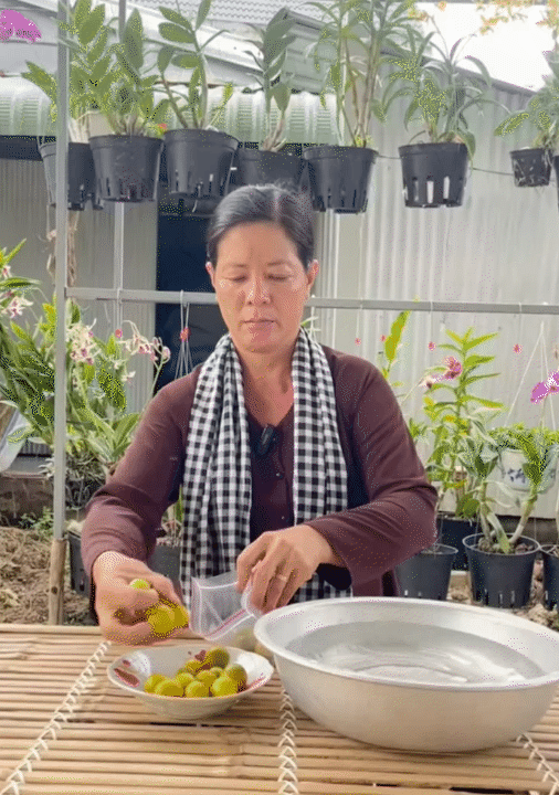 Người miền Tây chỉ cách làm đá không cần khay cực tiện - kèm loạt mẹo vặt siêu hay ai cũng áp dụng được- Ảnh 6.