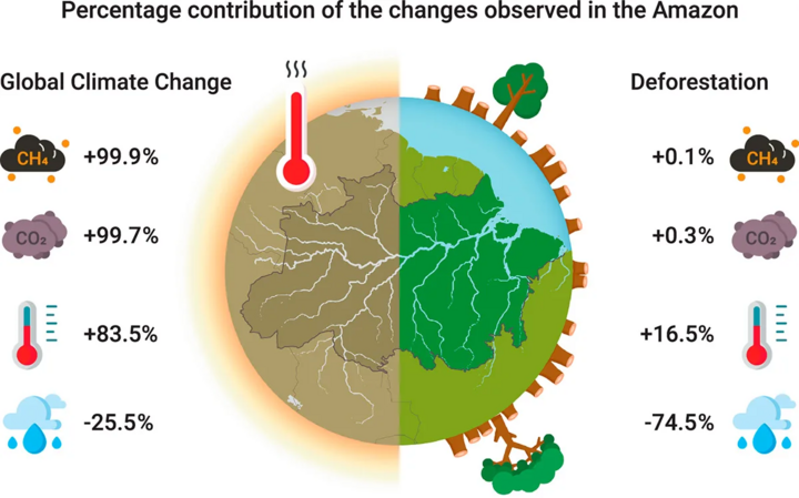 Khi những dòng sông lớn dần biến mất: Báo động sinh thái toàn cầu đang đến gần?- Ảnh 6.