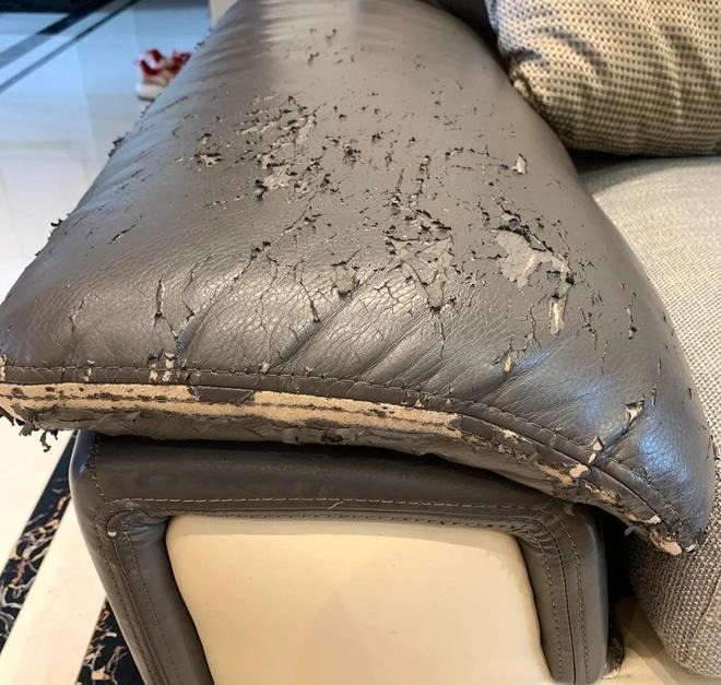 Khuyên bạn đừng mua 5 loại sofa này: Lỗi thời dã man, làm phòng khách xuống cấp âm vô cực!- Ảnh 2. Khuyên bạn đừng mua 5 loại sofa này: Lỗi thời dã man, làm phòng khách xuống cấp âm vô cực!- Ảnh 2.