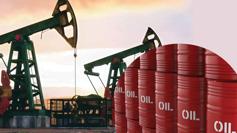 Ấn Độ đang vội v&atilde; b&aacute;n th&aacute;o c&aacute;c sản phẩm từ dầu mỏ Nga- Ảnh 2.