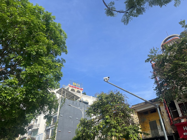 Đi sau thế giới, Việt Nam 