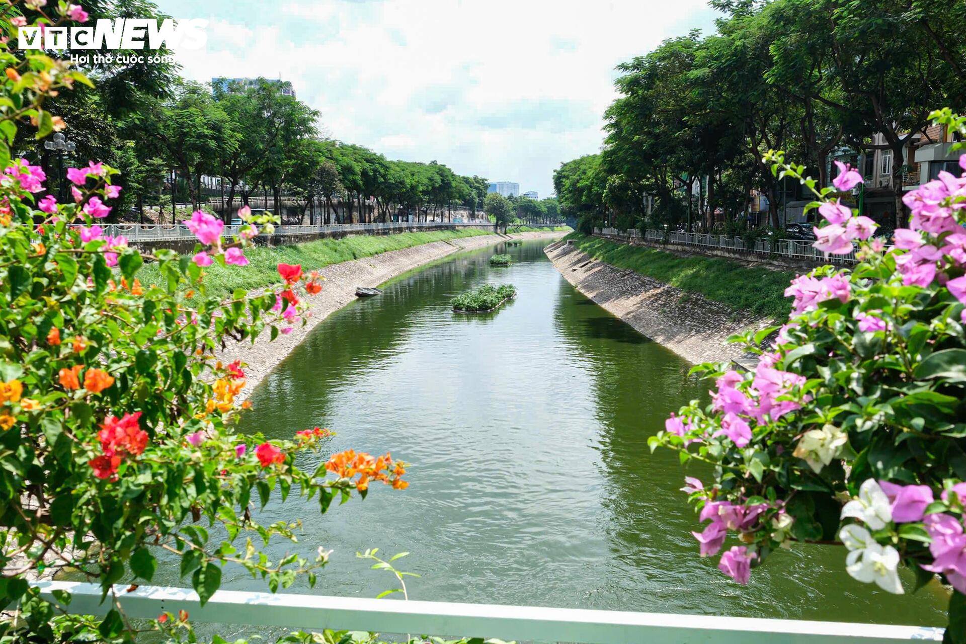 Nước sông Tô Lịch trong xanh trở lại sau cảnh cạn trơ đáy, cá chết bốc mùi- Ảnh 6.