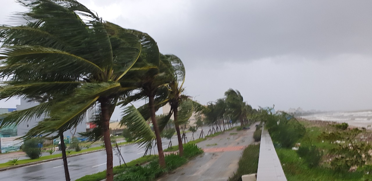 Bão số 10 Bualoi sắp đổ bộ: Ít nhất 4 địa phương cho học sinh nghỉ học ngày mai