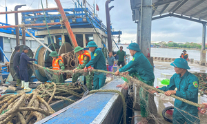 Bão số 10 cuốn bay mái nhà, quật đổ cây ở Huế, dân Quảng Trị vào hầm trú ẩn- Ảnh 15.