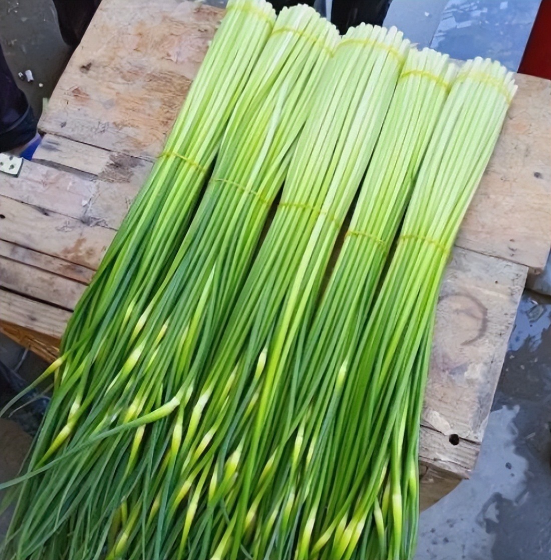4 loại rau củ dễ bị 4 loại rau củ dễ bị
