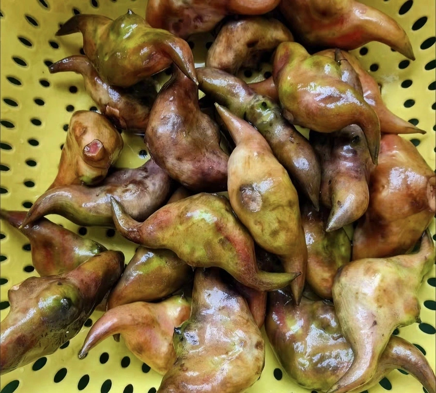 Ra chợ gặp 3 loại rau củ này nhớ mua ngay, không thuốc trừ sâu lại "bổ như sâm"- Ảnh 3.