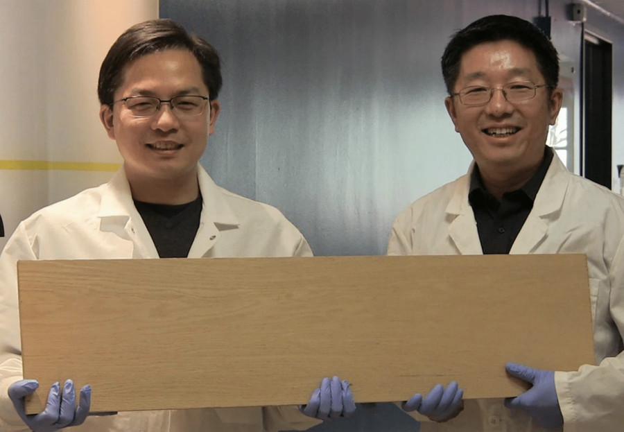 BioStrong Wood: Siêu gỗ mạnh hơn thép- Ảnh 9.