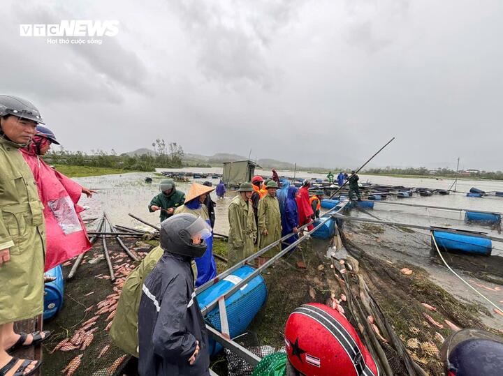 Ngư dân Hà Tĩnh khóc ròng khi 20 tấn cá lồng bè chết trong đêm bão Bualoi đổ bộ- Ảnh 1.