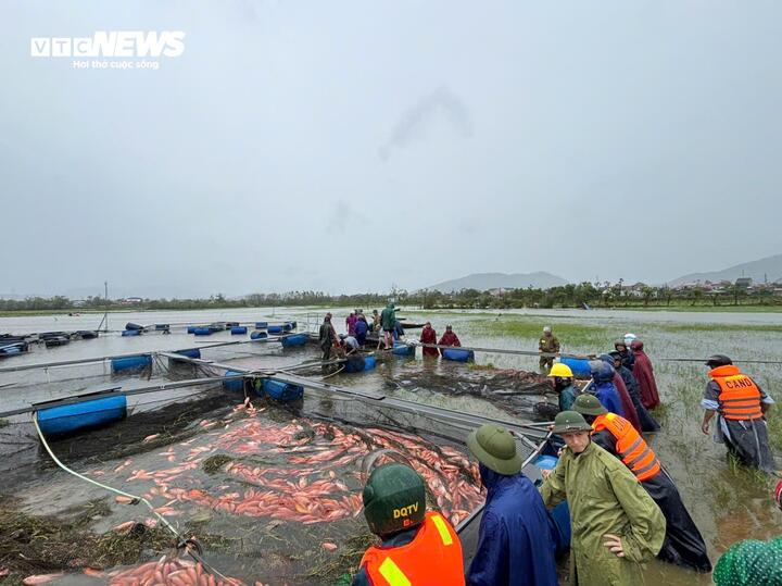 Ngư dân Hà Tĩnh khóc ròng khi 20 tấn cá lồng bè chết trong đêm bão Bualoi đổ bộ- Ảnh 2.