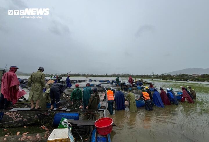 Ngư dân Hà Tĩnh khóc ròng khi 20 tấn cá lồng bè chết trong đêm bão Bualoi đổ bộ- Ảnh 6.
