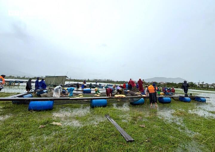 Ngư dân Hà Tĩnh khóc ròng khi 20 tấn cá lồng bè chết trong đêm bão Bualoi đổ bộ- Ảnh 4.