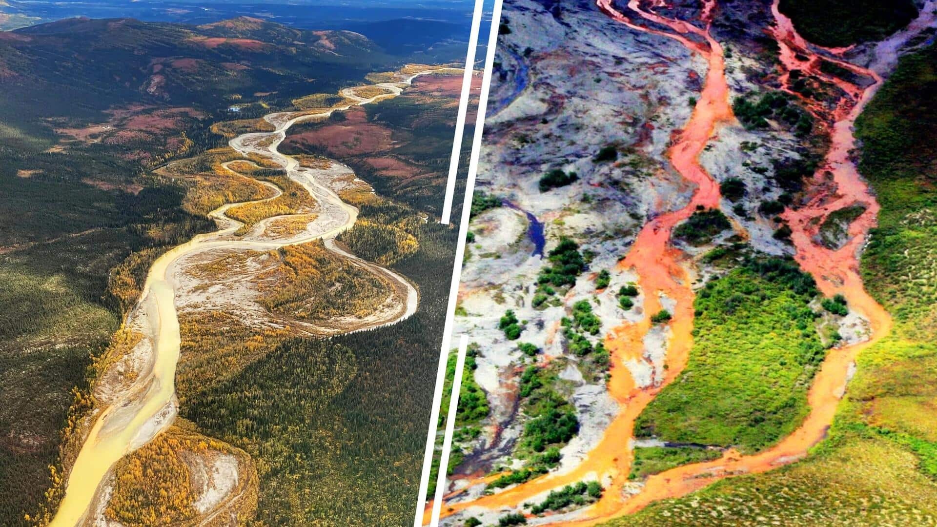 C&aacute;c con s&ocirc;ng ở Bắc Cực chuyển sang m&agrave;u cam b&iacute; ẩn: Khoa học t&igrave;m ra lời giải- Ảnh 10.