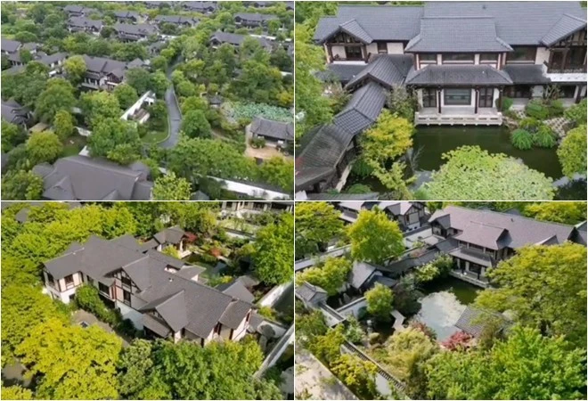 photo-1759151356976 photo-1759151356976