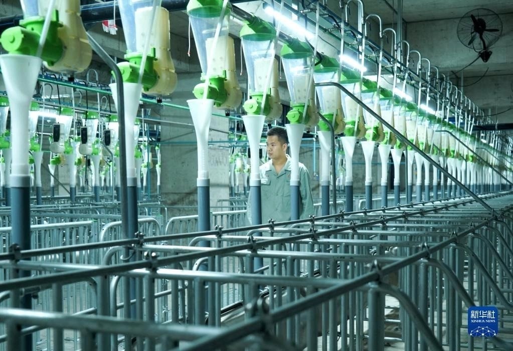 Lần đầu tiên VN hợp tác với TQ về “cách làm hay” trong 1 lĩnh vực dự kiến thu về 10.000 tỷ đồng mỗi năm- Ảnh 8.