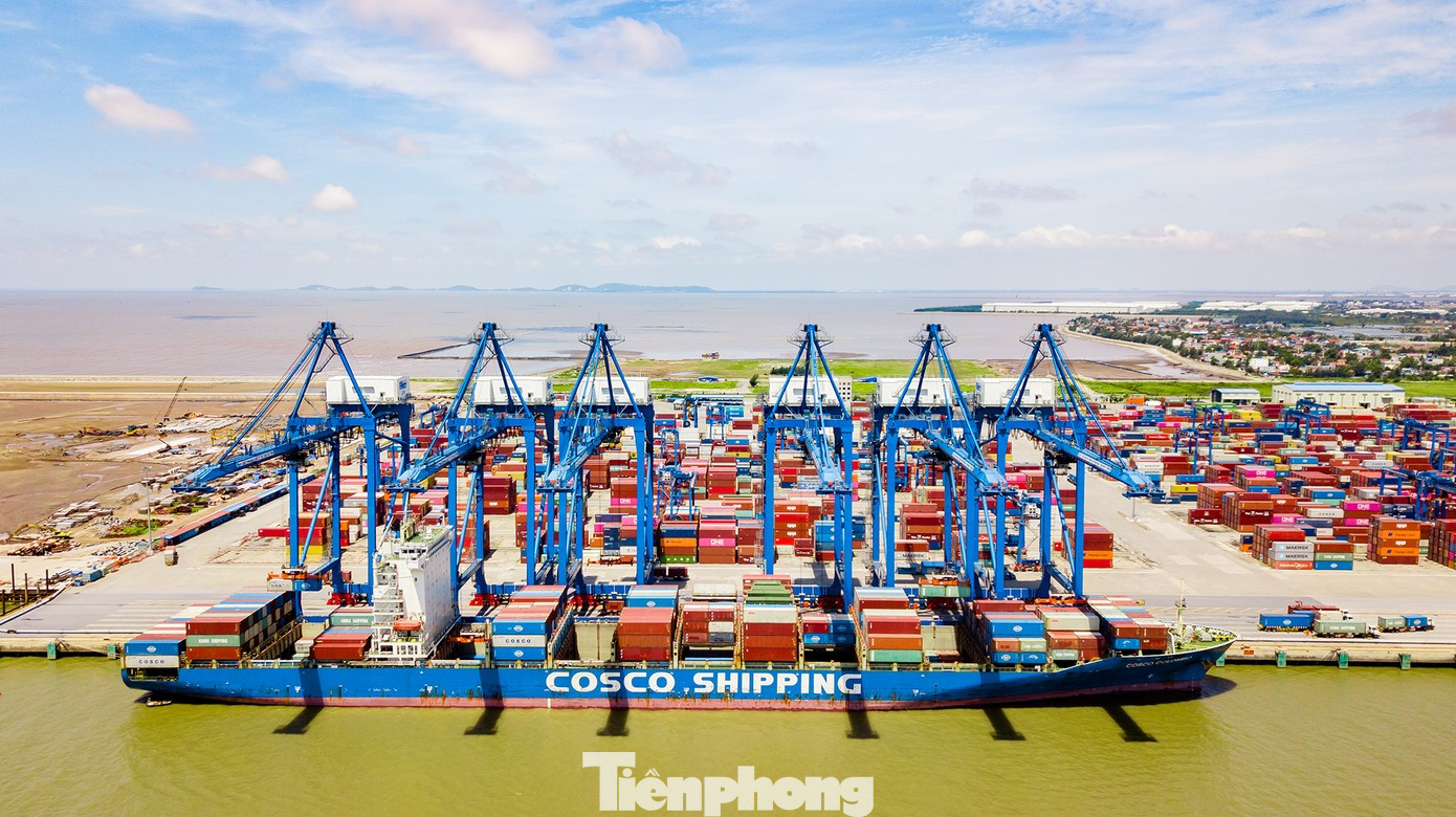 Việt Nam đang trở th&agrave;nh điểm s&aacute;ng tr&ecirc;n bản đồ h&agrave;ng hải quốc tế- Ảnh 6.