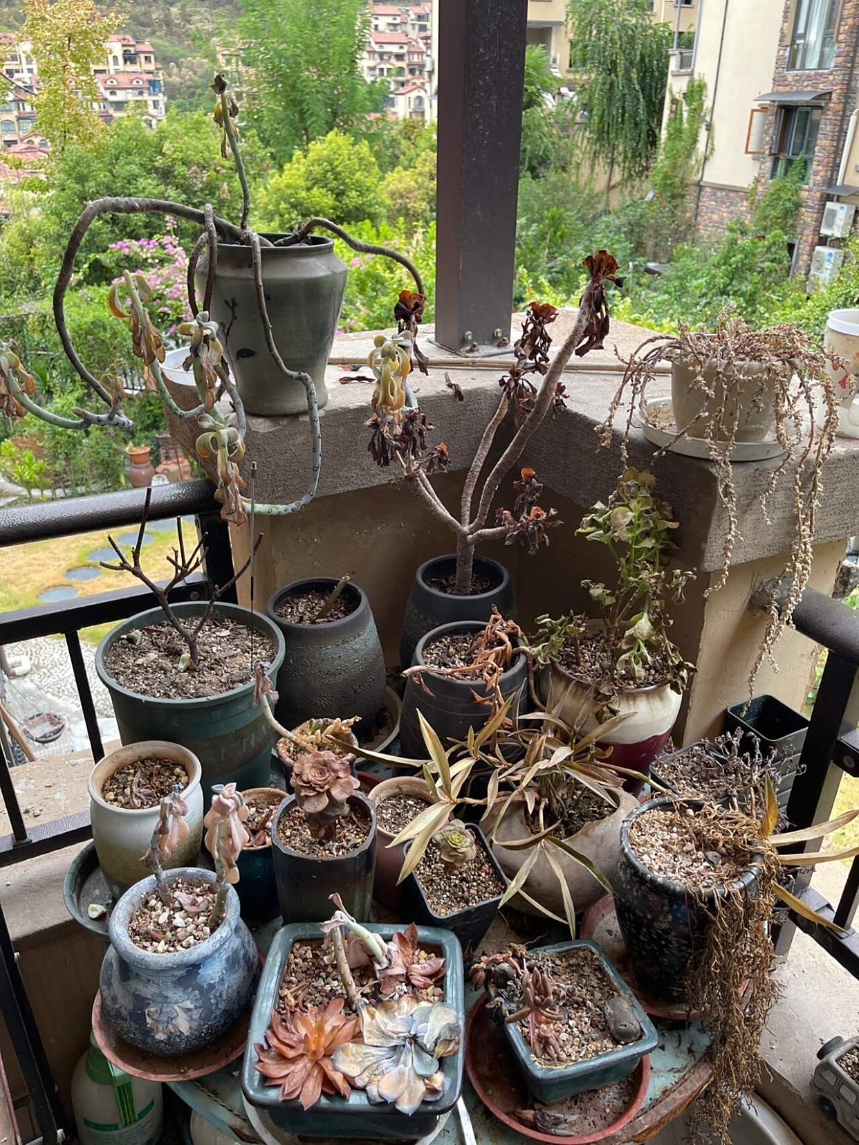 Trần đời chưa từng nghĩ 7 m&oacute;n đồ n&agrave;y h&oacute;a ra v&ocirc; dụng nhất nh&agrave;!- Ảnh 3.